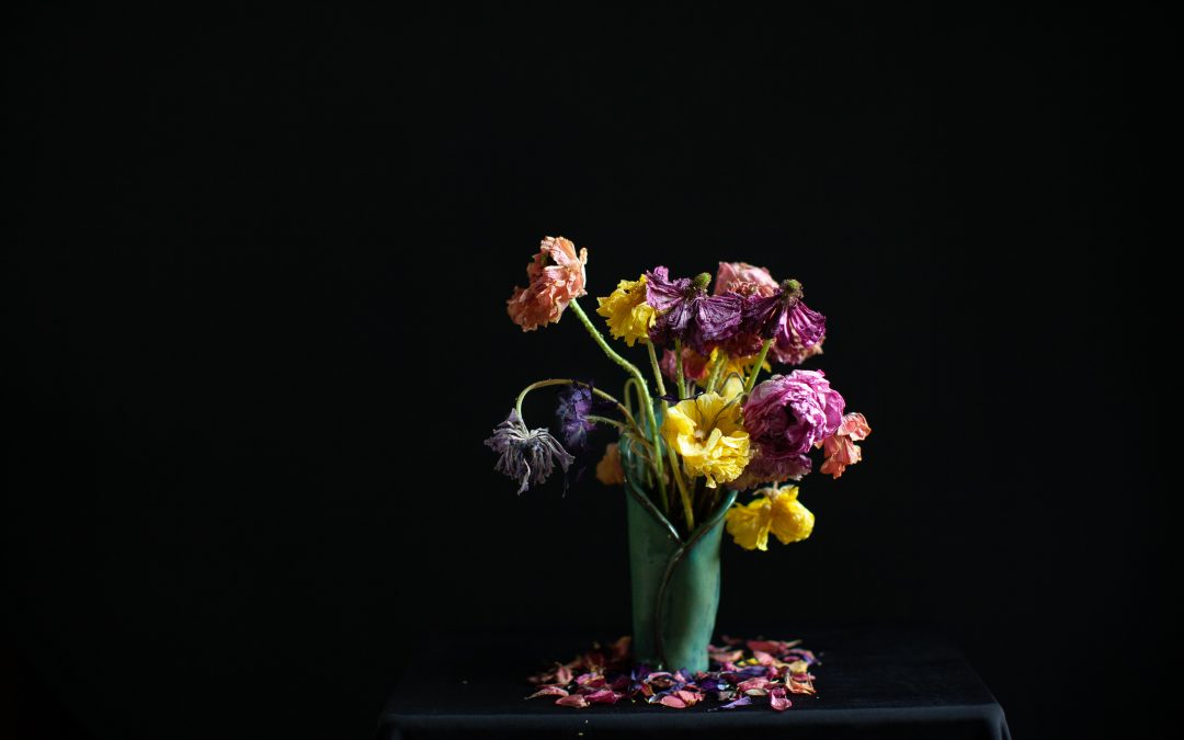 Pooh Stevenson Photography